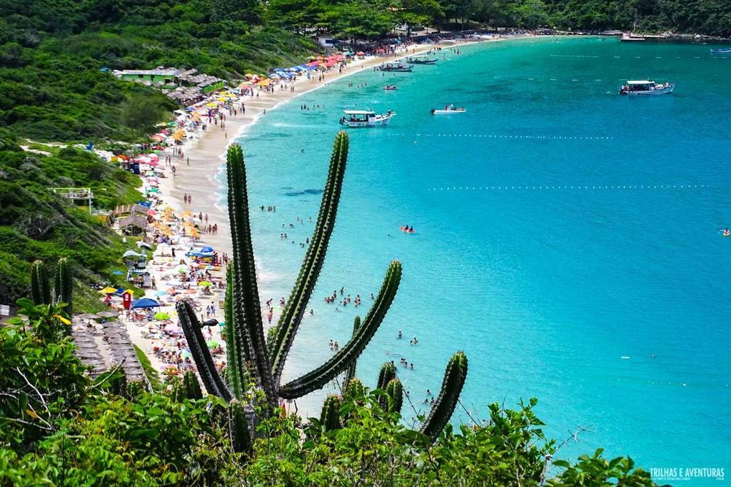 Palmares Cabo Frío