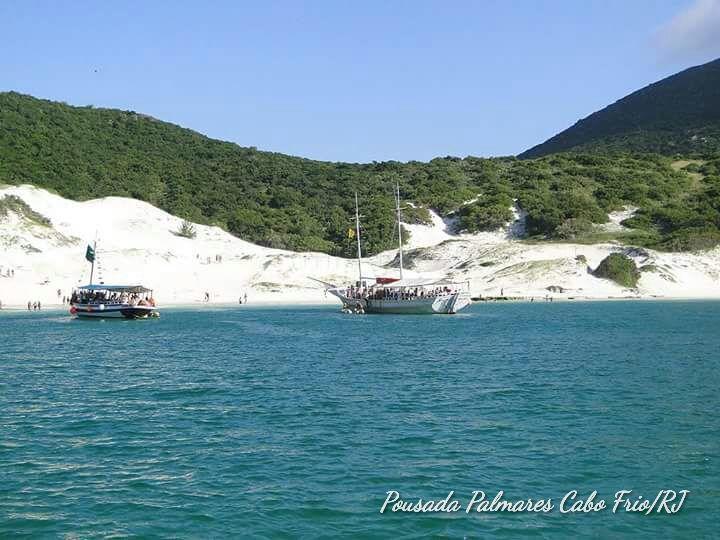 Palmares